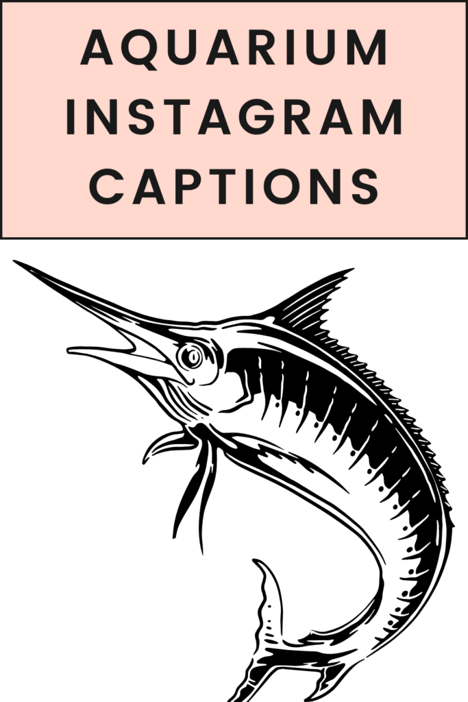 Aquarium  Instagram Captions pin 