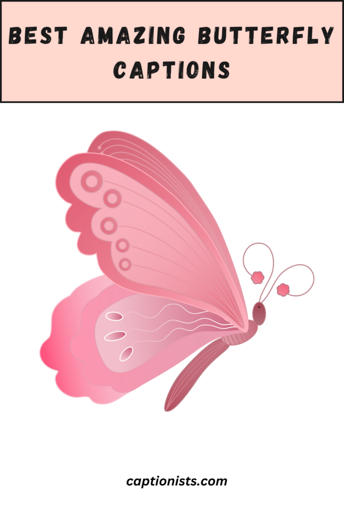 butterfly captions pin
