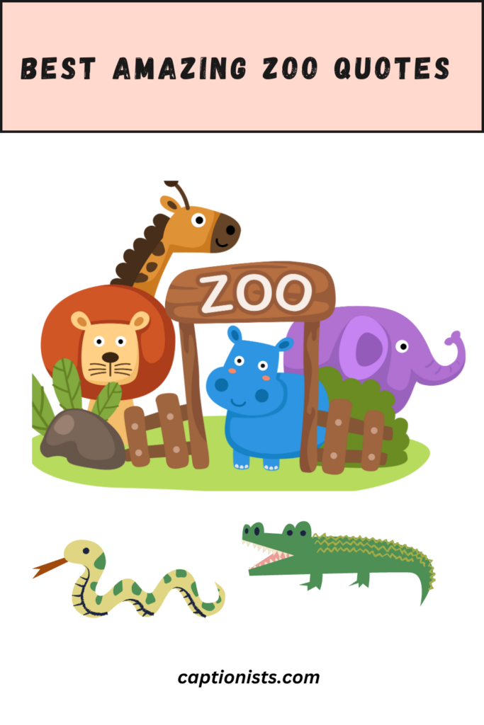 zoo quotes pin