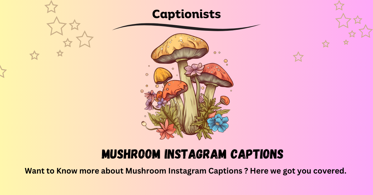 Mushroom Instagram Captions